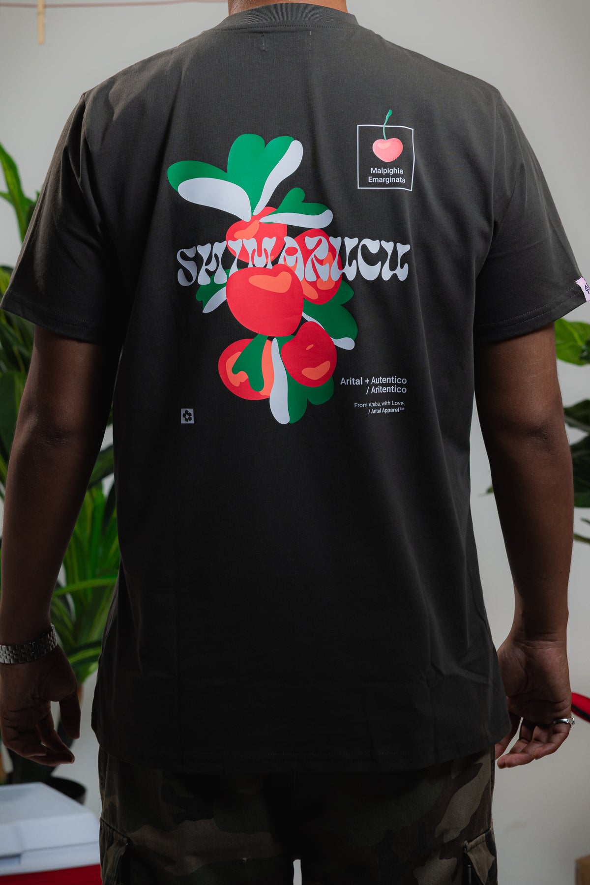 Shimarucu / AFD2V3